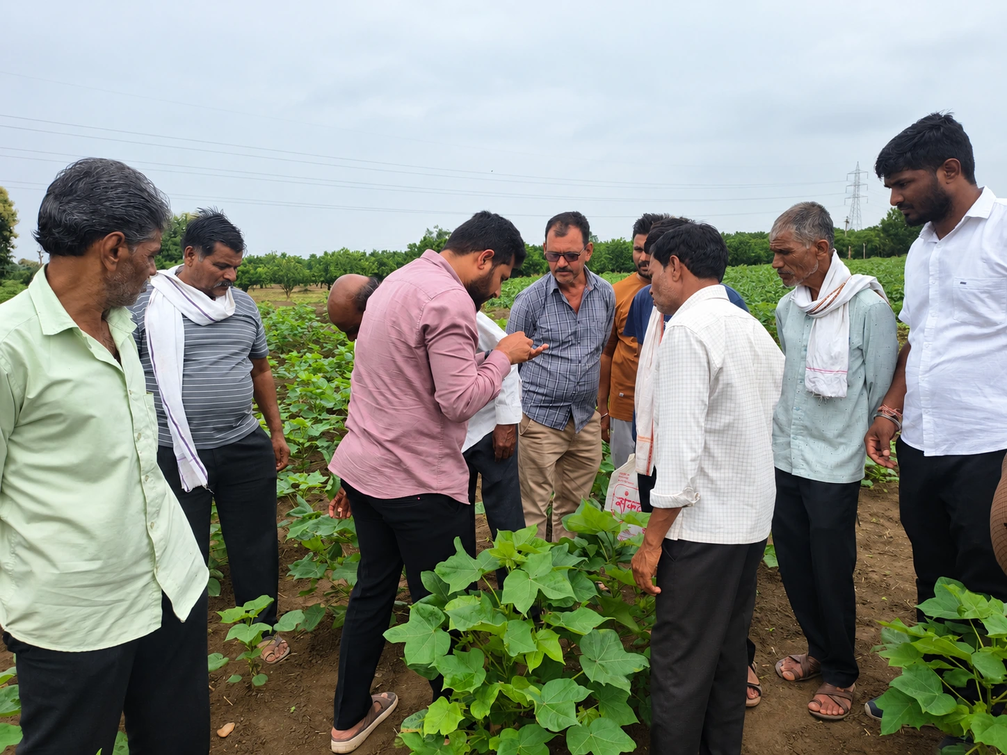Farmer engagement