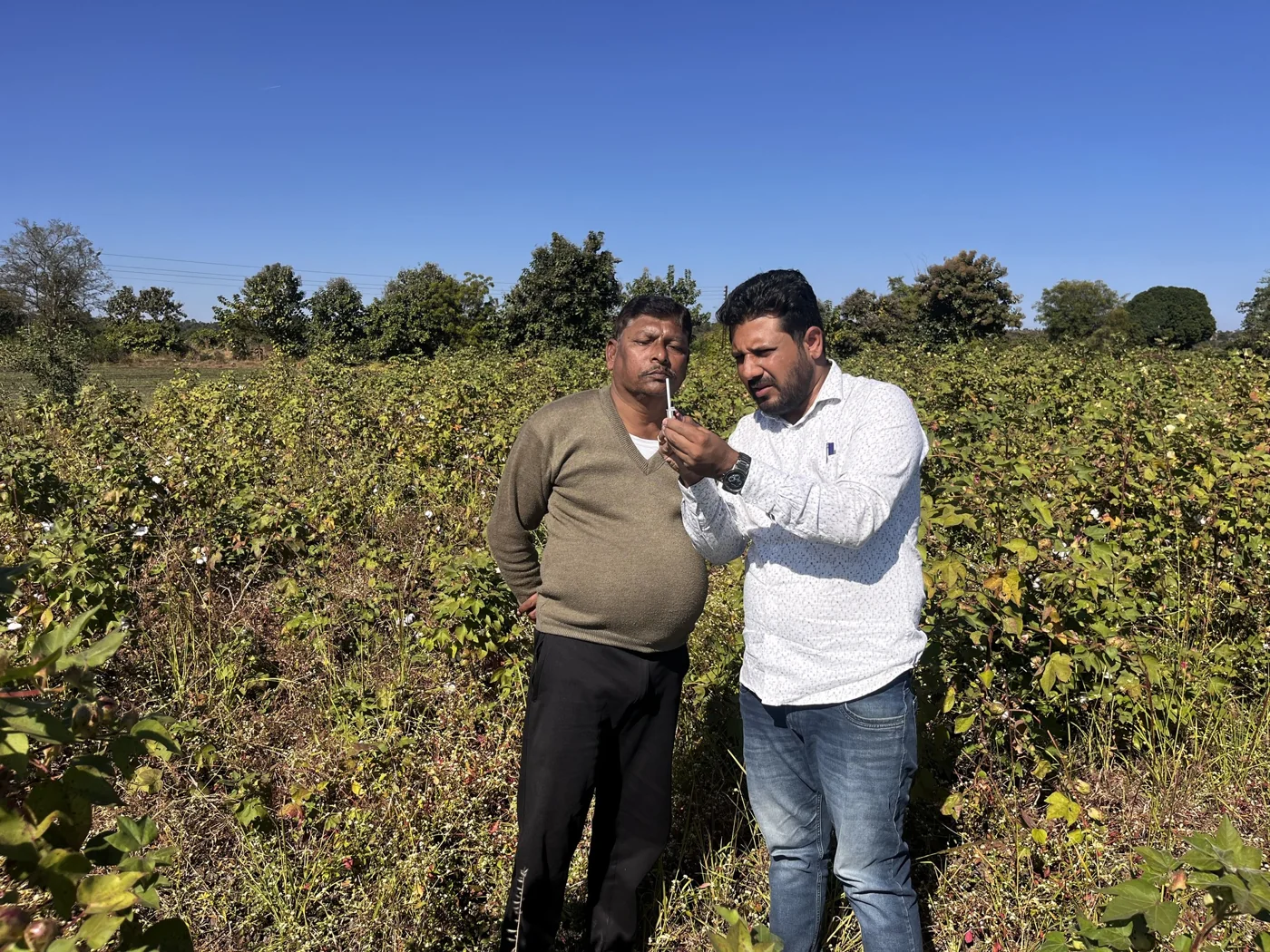 Two people discuss a sample during a field visit